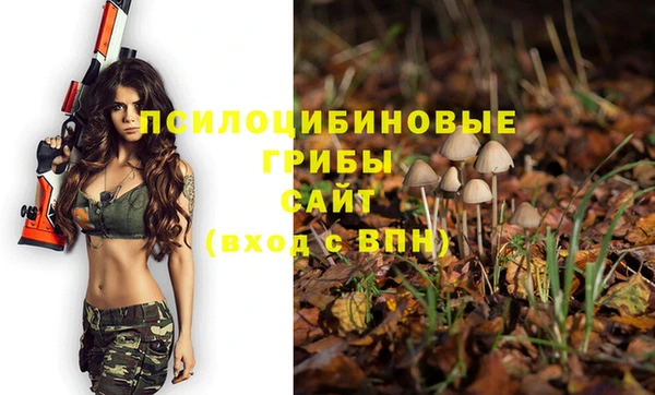 ПСИЛОЦИБИНОВЫЕ ГРИБЫ Абинск