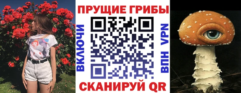 блэк спрут ТОР  хочу наркоту  Советск  Галлюциногенные грибы Psilocybe 