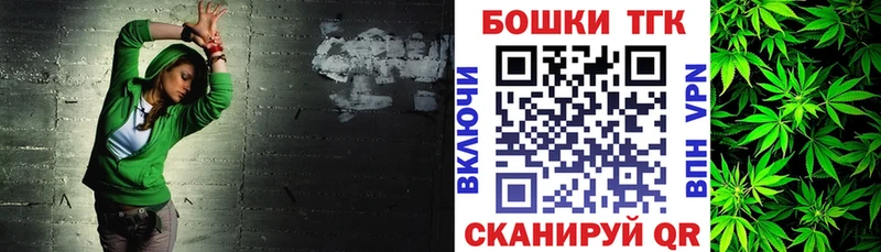 закладка  Советск  Бошки Шишки план 